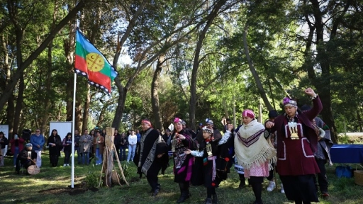 Fundación mapuche acusó que partidos políticos se apoderaron de nuevo proceso constitucional