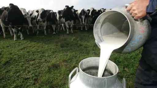 Observan alza en valor del litro de leche en supermercados: Supera los .100