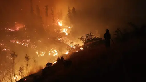 Cancelan Alerta Amarilla por incendios forestales en Biobío
