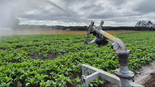 Avanza proyecto de ley que permitirá regar cultivos agrícolas con aguas grises