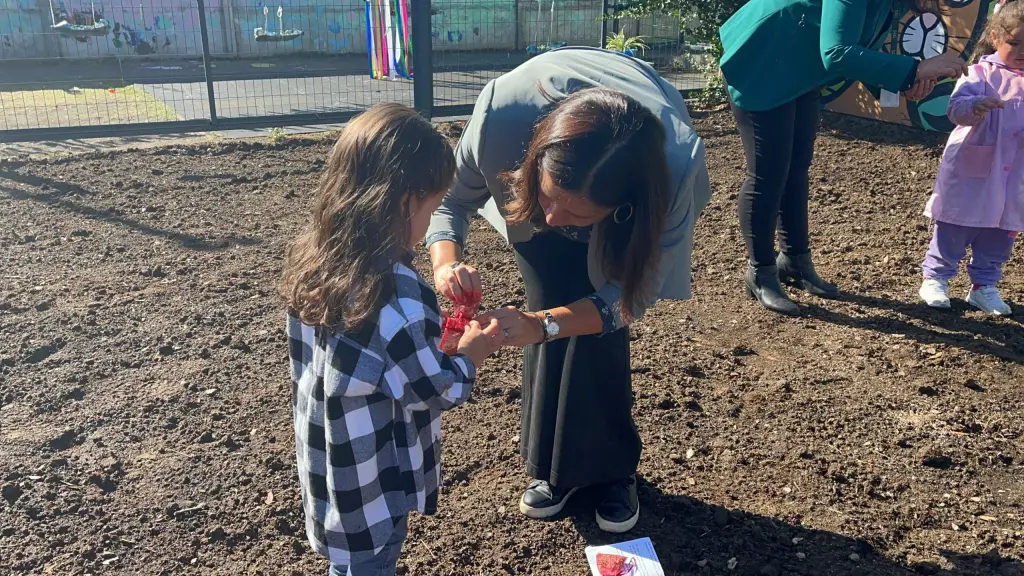 Actividad educativa de suelos.