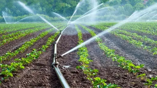 Anunciaron primer concurso nacional de riego para agricultoras 2023