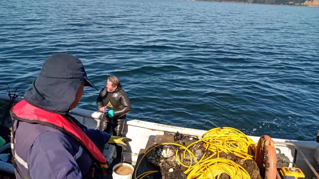 Fiscalización pesca Semana Santa.
