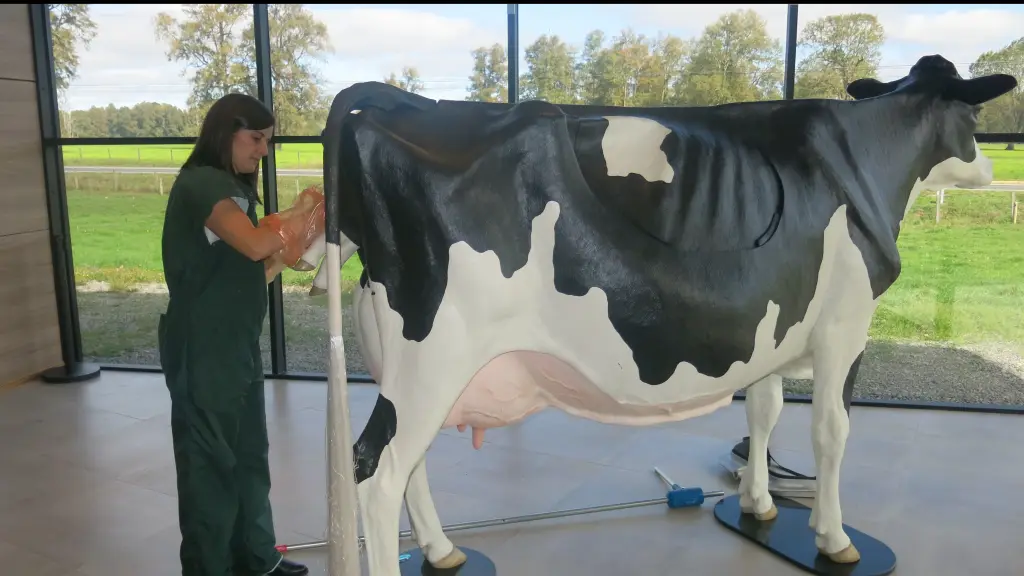 Vaca modular para práctica en lecherías