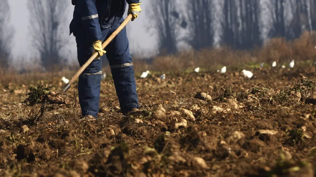 Amenazas agricultores Biobío.