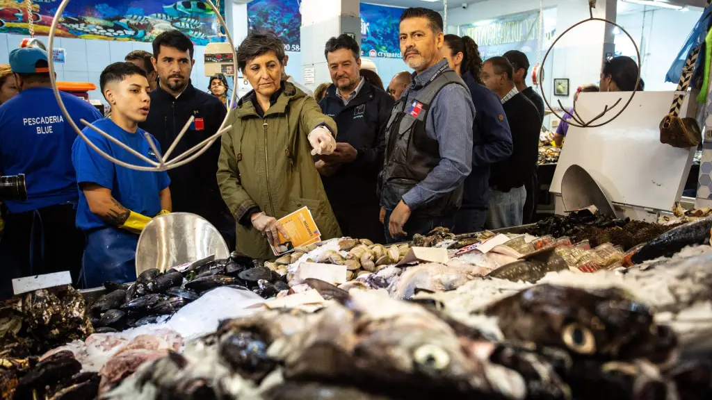 Fs9hAxOXsAEulp4, Créditos: Twitter.