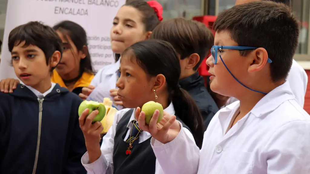 difusion-colaciones-saludables-4, 