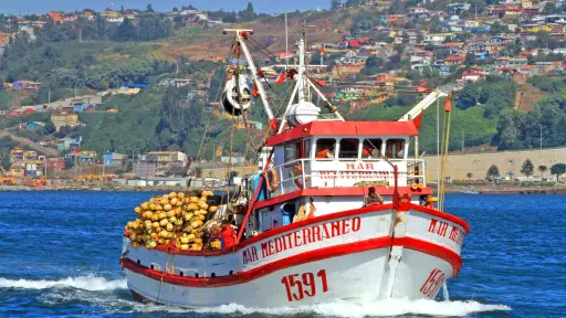 Pescadores artesanales aseguraron que habrá disponibilidad de productos del mar para Semana Santa