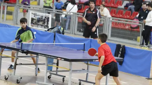 Tenimesistas de Biobío siguen preparándose para sudamericano de Paraguay