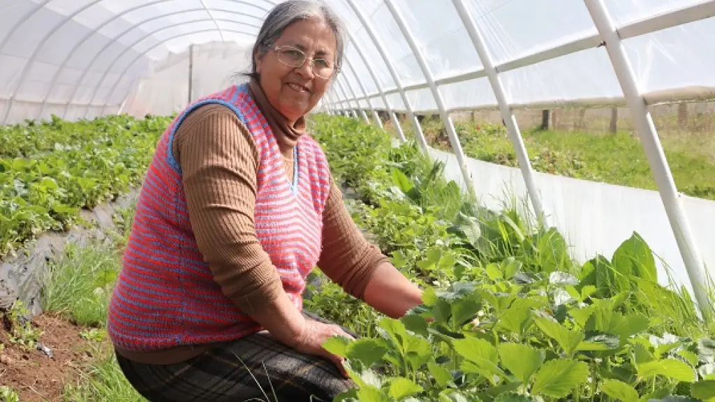 Programa Mujeres Rurales Prodemu