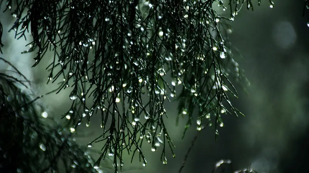 Informe agrometeorológico de precipitaciones en Biobío