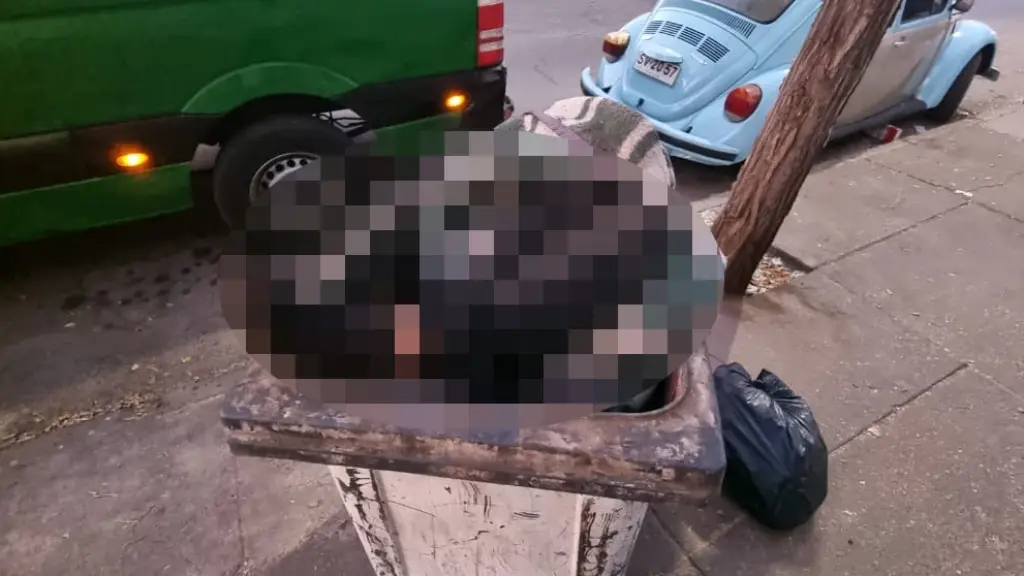 Macabro hallazgo: Vecinos de Recoleta encuentran cadáver al interior de un basurero , Cedida