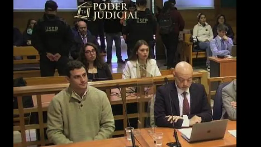 Segundo juicio oral contra Martin Pradenas , Poder Judicial