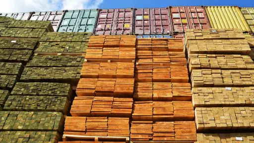 Aumento del 5,6% en exportaciones forestales de Biobío durante el trimestre octubre-diciembre de 2024