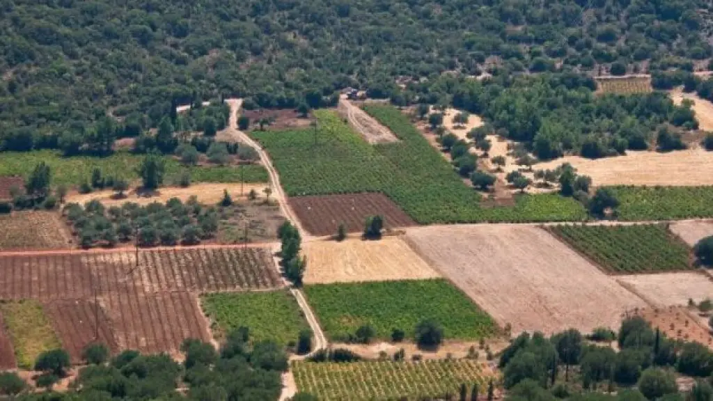 Según Socabio, las últimas encuestas en general muestran un apoyo sólido a la institución, si bien aún considera que faltan sectores políticos que sumen su respaldo.