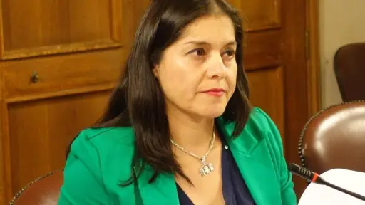Diputada Karen Medina emplazó al Gobierno por colapso en cárceles