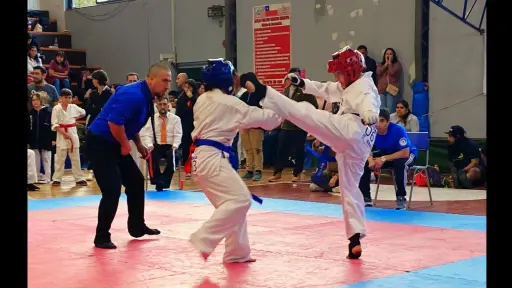 Alumnos del Dojo Garyu destacan en Torneo de Artes Marciales Senchi Cup 
