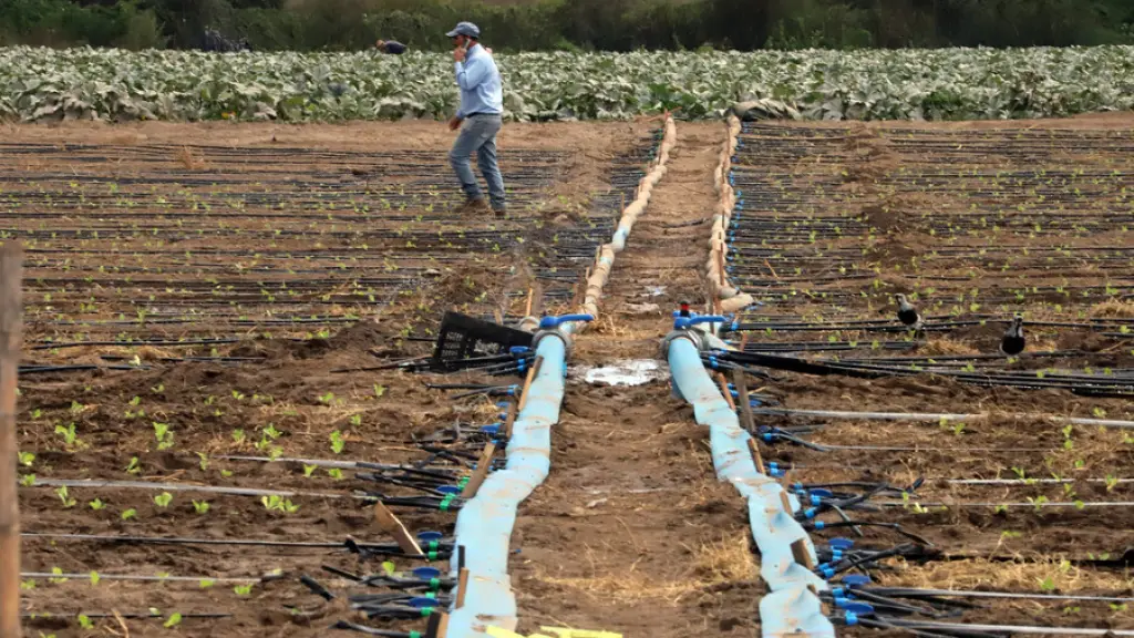 Con la actualización de la ley de riego se focalizarán de otra manera los recursos y se incorporarán soluciones generales de mejoramiento de riego más amigables con el medioambiente.