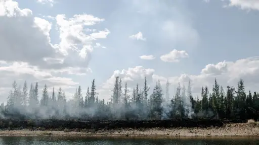 Los incendios forestales reducen la producción de petróleo canadiense en casi un 4 %