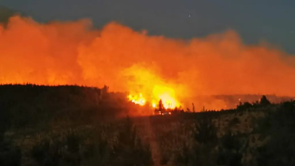 Incendios en Biobío