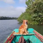 Boteros luchan por recuperar un oficio de antaño: Navegan contra la corriente para evitar su desaparición, cedida