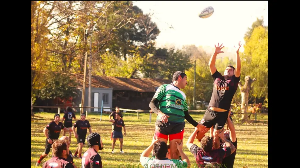 Club de Rugby Callaquen, La Tribuna