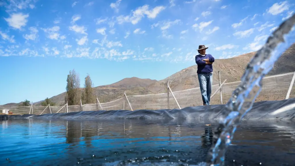 La Sociedad Nacional de Agricultura manifestó su disposición a aportar con los nuevos constituyentes en materias como agua, comercio exterior y descentralización.