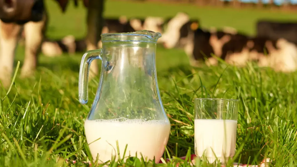 La ley de etiquetado chilena, vigente hace años, establece que solamente se puede denominar “leche”, para su comercialización, a productos provenientes de un mamífero.