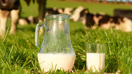 Productores lecheros obtienen fallo favorable en demanda contra NotCo