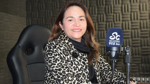 Diputada Joanna Pérez tiene la primera opción de presidir a Cámara Baja