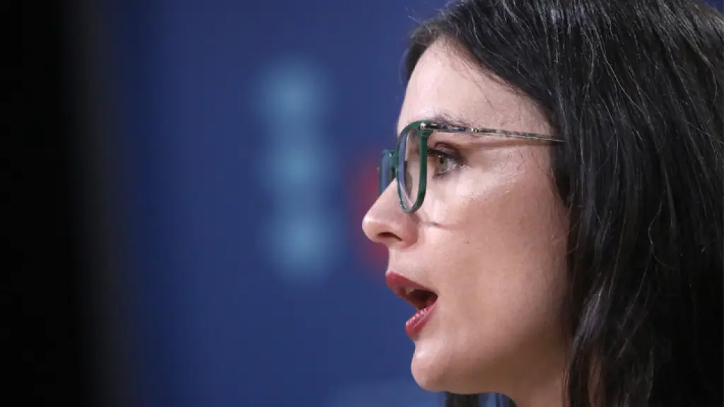 Camila Vallejo, vocera de Gobierno, Contexto
