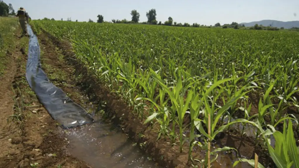 Gestión de calidad del agua en la agricultura