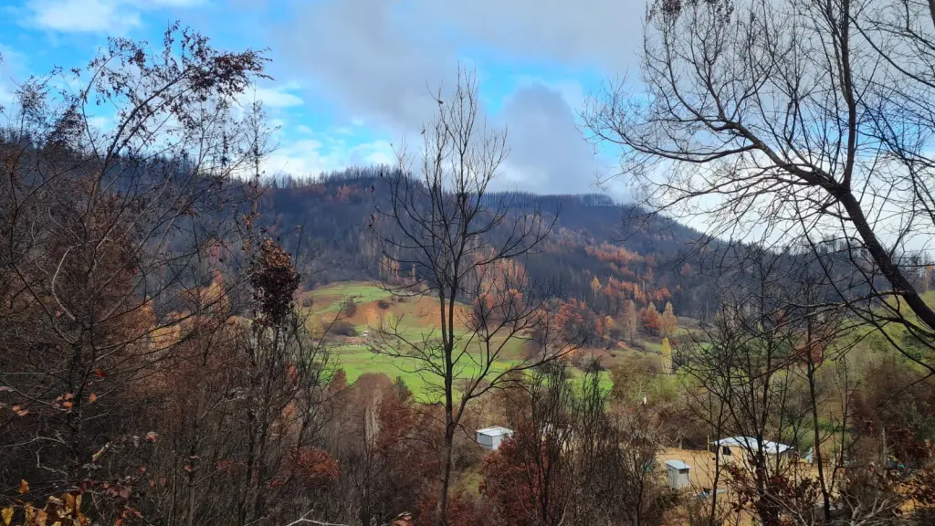 Vista del cerro quemado desde la parcela de Esterlina Cuevas / Sofía Meier