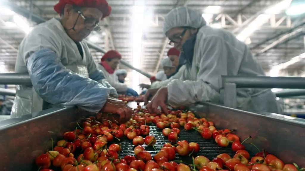 La principal misión de los exportadores de fruta de Chile es mantener y facilitar el comercio, contar con protocolos sanitarios y promover los productos de manera que haya interés en su consumo.