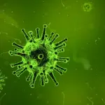 virus, microscopio, infección, Pixabay