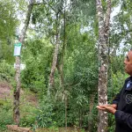Recuperación Bosque Nativo Biobío