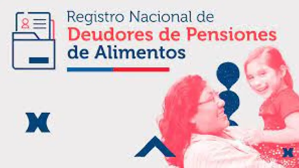 Registro Nacional de Deudores de Pensiones de Alimentos Chile
