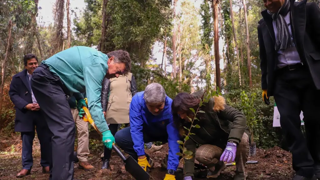 Reconstrucción agrícola por incendios Biobío