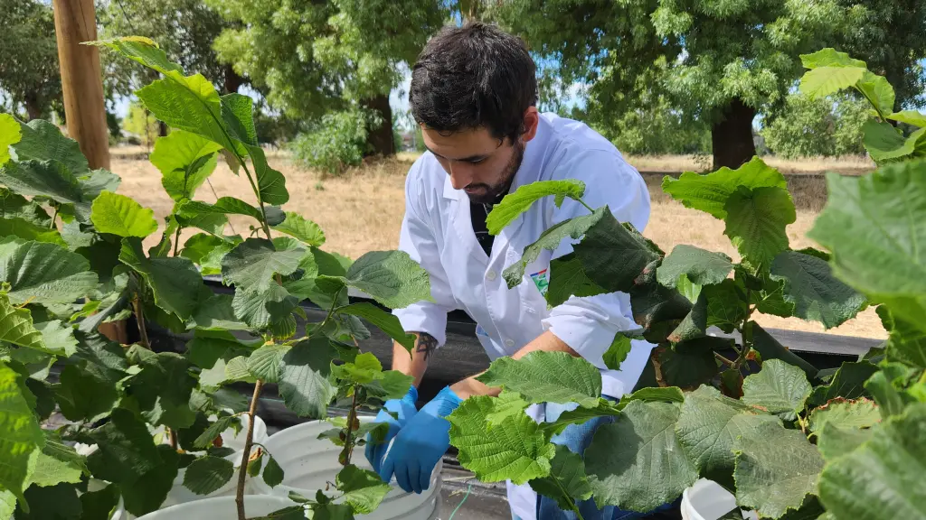 Bioinsumos para disminuir el uso de agroquímicos