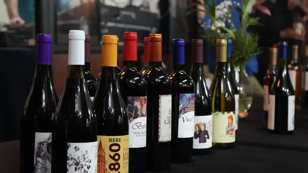 Producción Sustentable de Vino Biobío