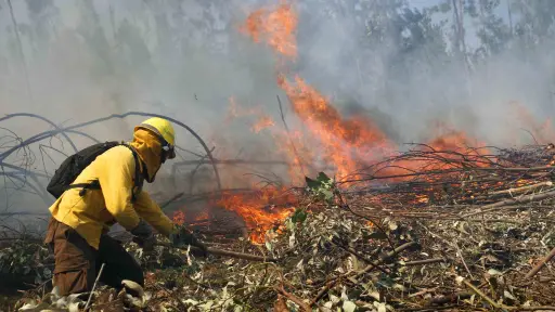 Forestal en Hacienda San Lorenzo se mantiene trabajando contra foco de incendio