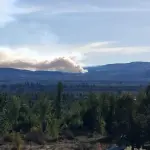 Foco de incendio forestal en Alto Biobío