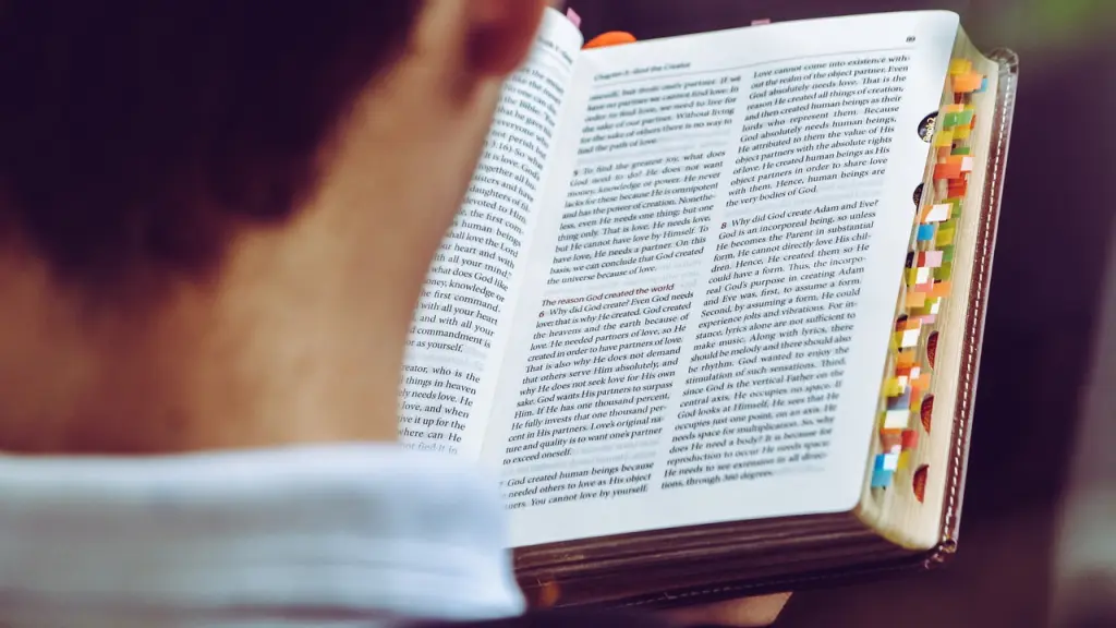 un libro, leer, texto, Pixabay