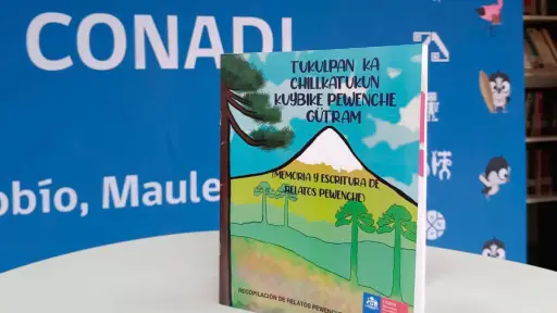 Lanzan libro de relatos pewenche realizado por educadoras tradicionales
