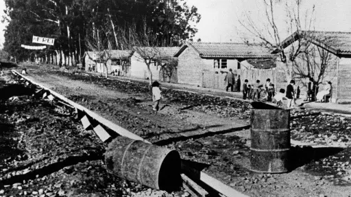 Los 100 años de la avenida Vicuña Mackenna