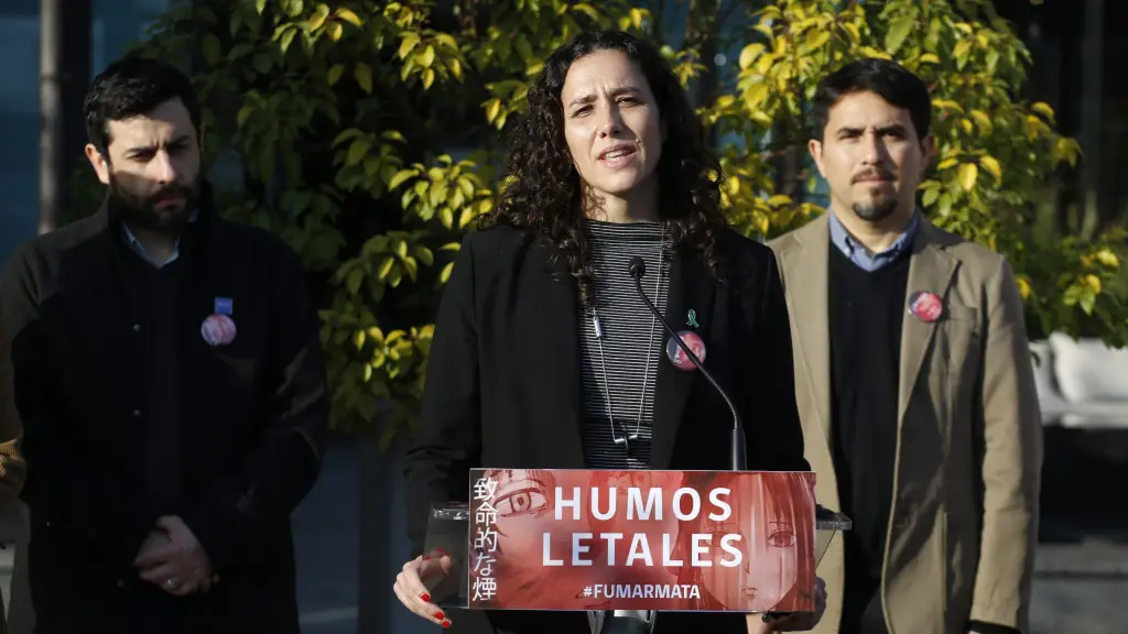 Campaña Humos Letales, Minsal.cl.