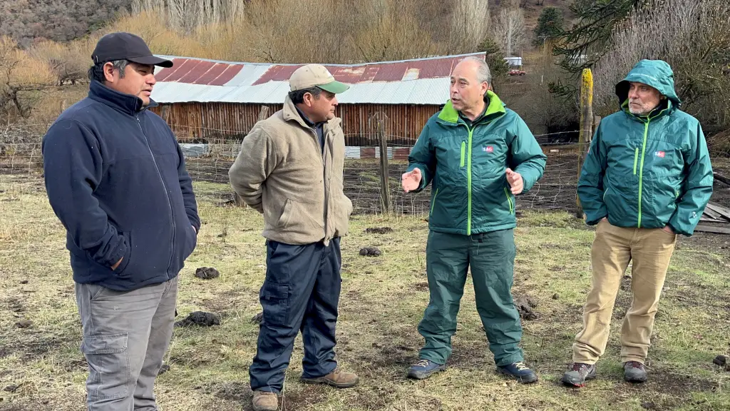 Programa de recuperación de suelos Biobío