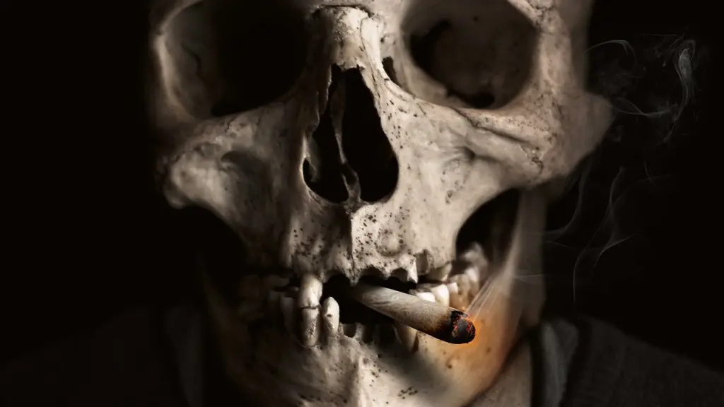 cráneo, hueso, de fumar, Pixabay