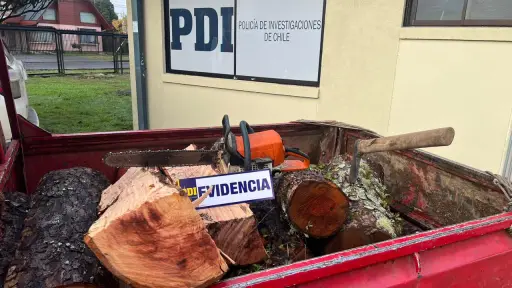 Dos detenidos por sustracción ilegal de madera en Gorbea: Sujetos transportaban especie nativa