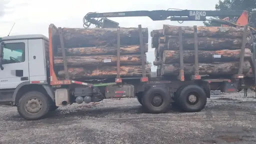 Un detenido por sustracción ilegal de madera en Lautaro: Trasladaba pino insigne sin documentación